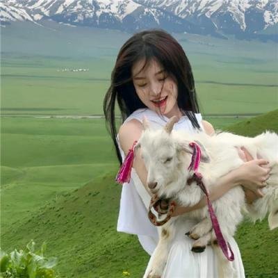 柳生武艺帐 双龙秘剑